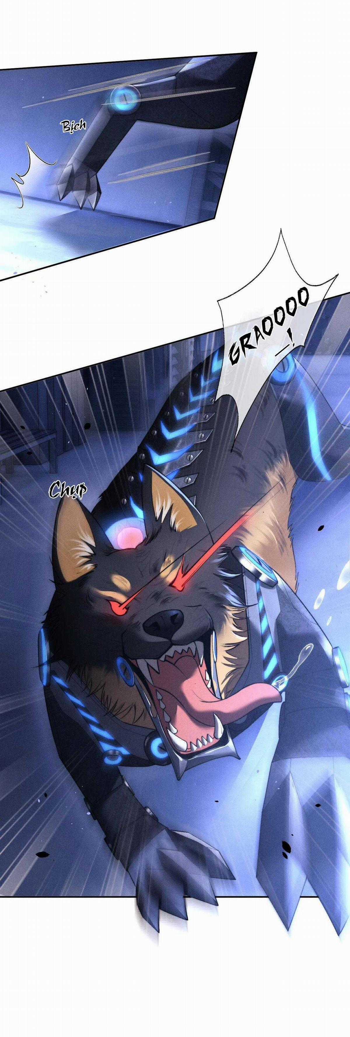 Chấp Sự Thỏ Tai Cụp - Chapter 100 - Trang 9