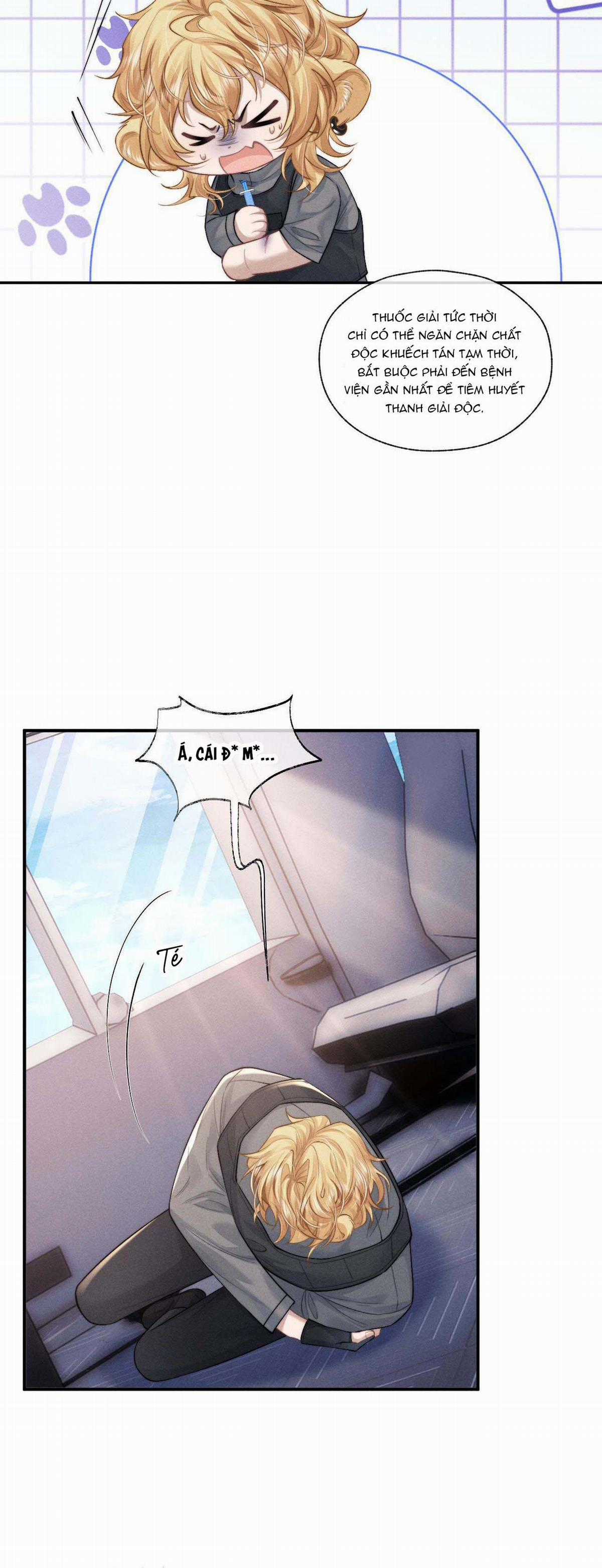 Chấp Sự Thỏ Tai Cụp - Chapter 104 - Trang 10