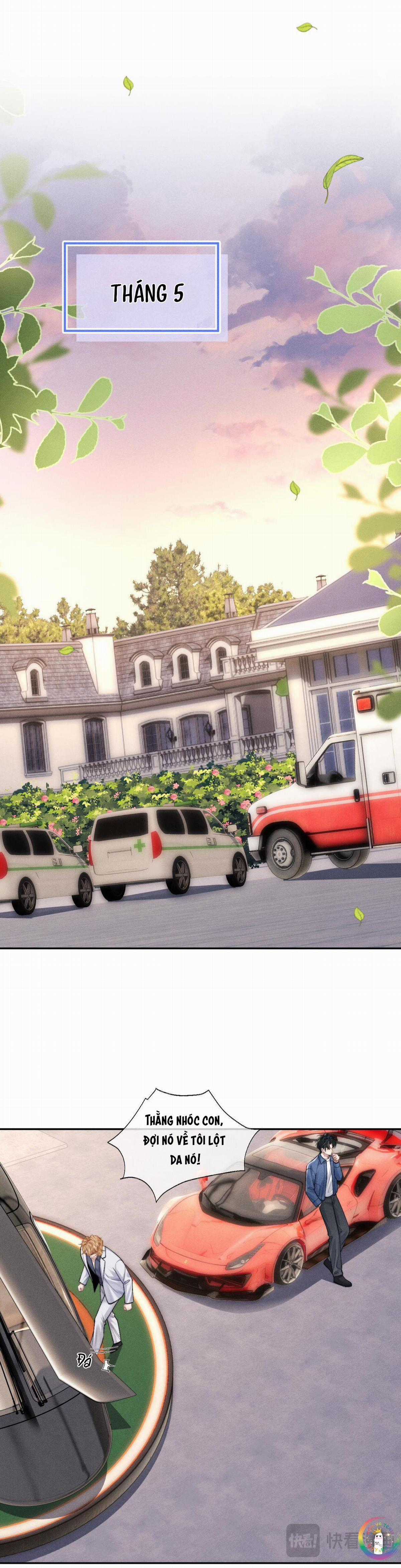 Chấp Sự Thỏ Tai Cụp - Chapter 105 - Trang 8