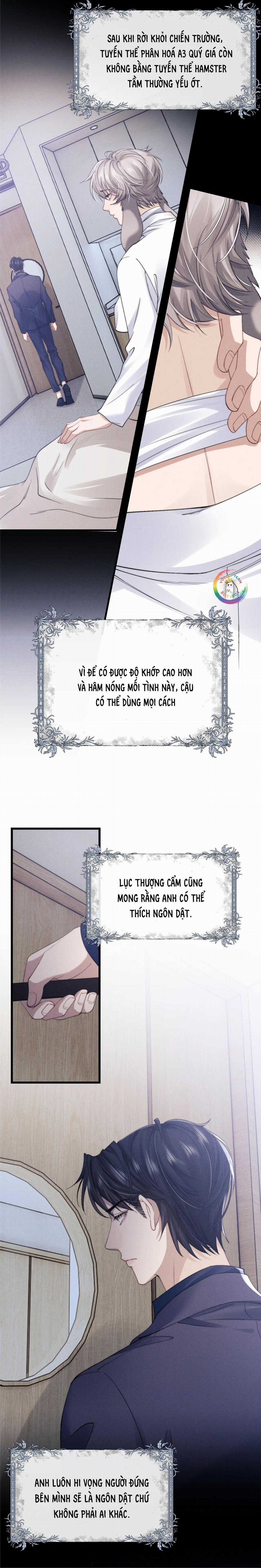 Chấp Sự Thỏ Tai Cụp - Chapter 11 - Trang 12