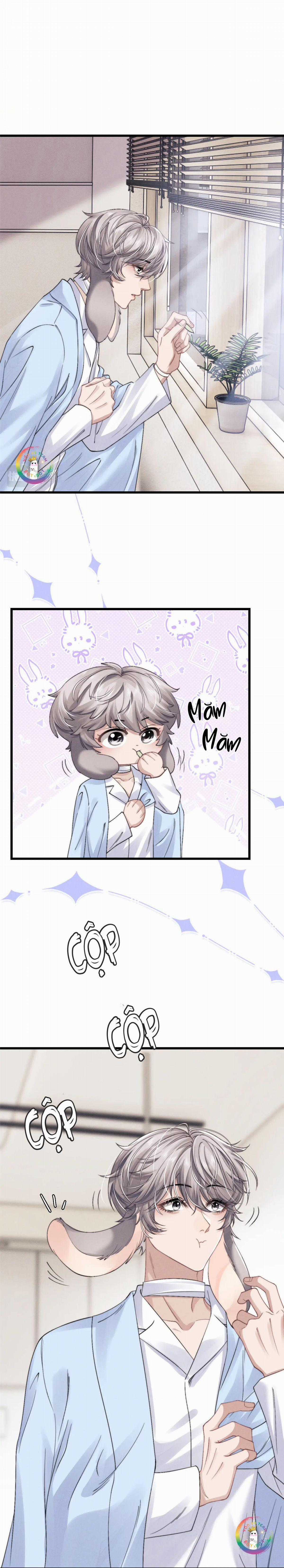 Chấp Sự Thỏ Tai Cụp - Chapter 11 - Trang 17