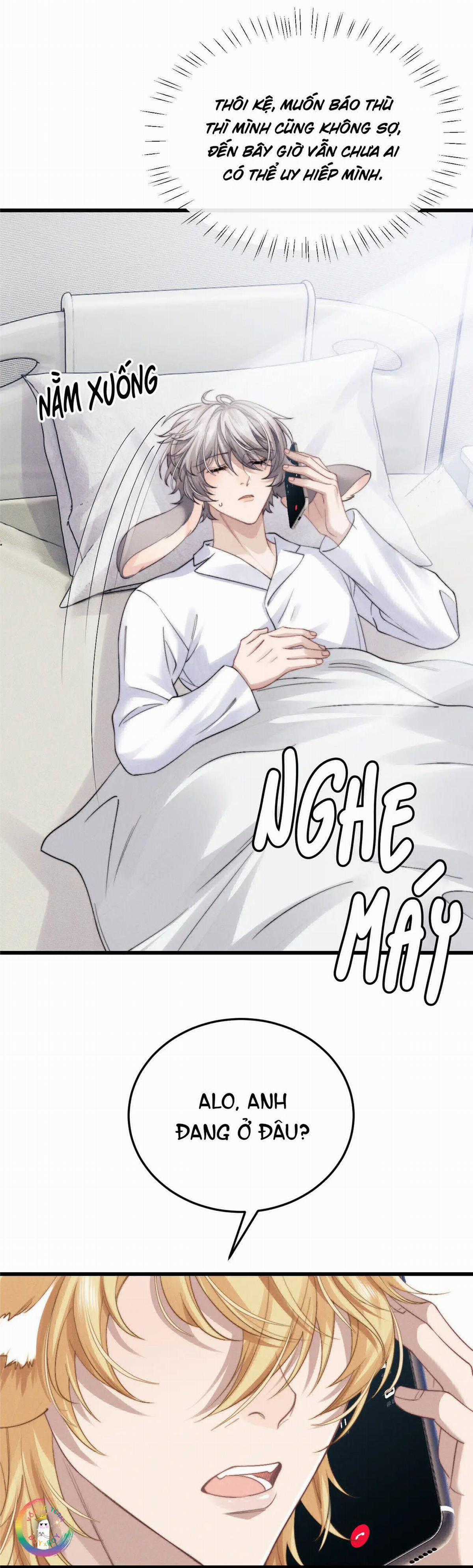 Chấp Sự Thỏ Tai Cụp - Chapter 12 - Trang 15