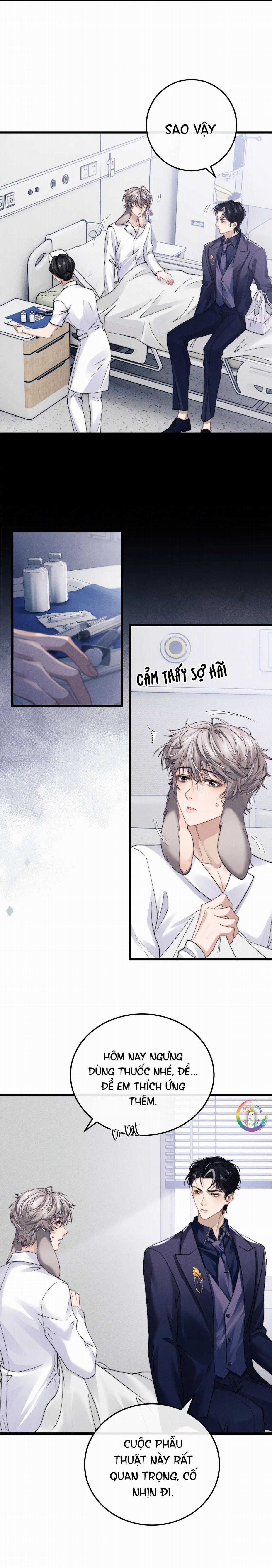 Chấp Sự Thỏ Tai Cụp - Chapter 13 - Trang 8