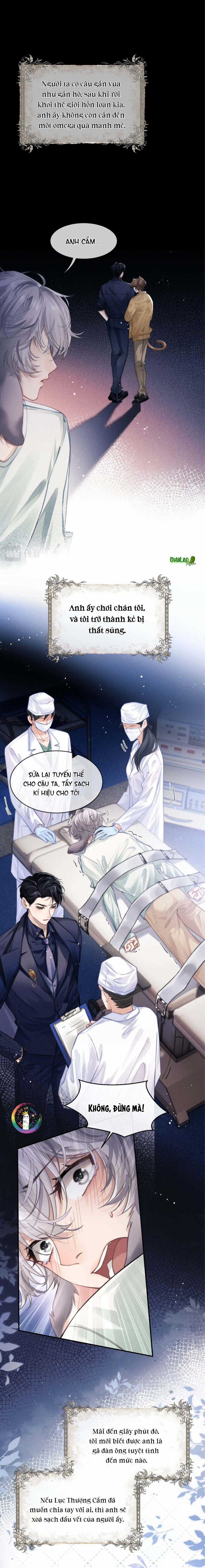 Chấp Sự Thỏ Tai Cụp - Chapter 2 - Trang 4