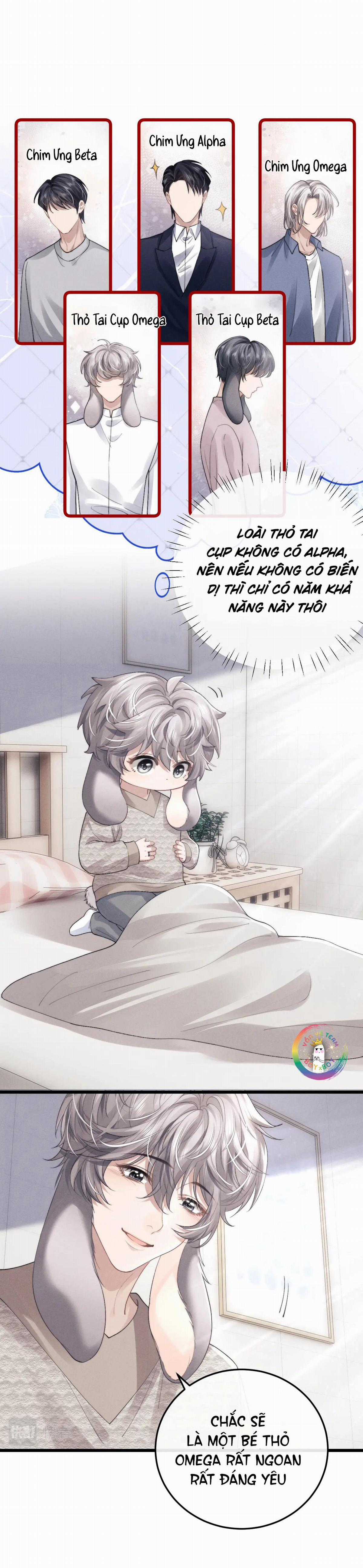 Chấp Sự Thỏ Tai Cụp - Chapter 33 - Trang 14