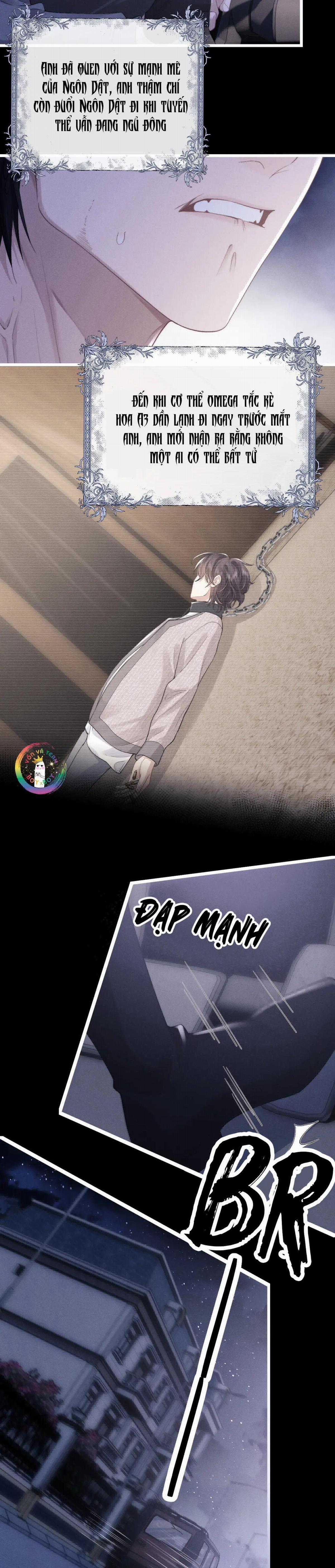 Chấp Sự Thỏ Tai Cụp - Chapter 33 - Trang 3