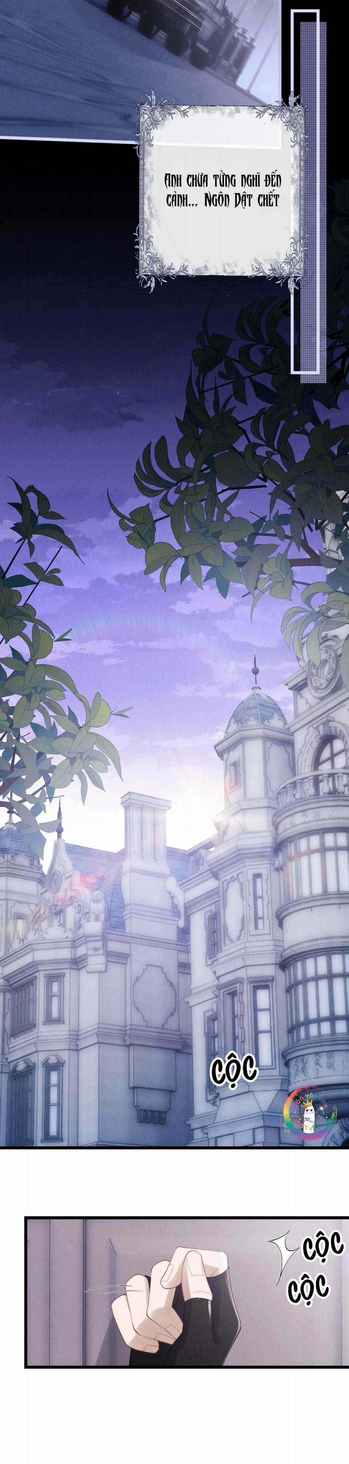 Chấp Sự Thỏ Tai Cụp - Chapter 33 - Trang 4