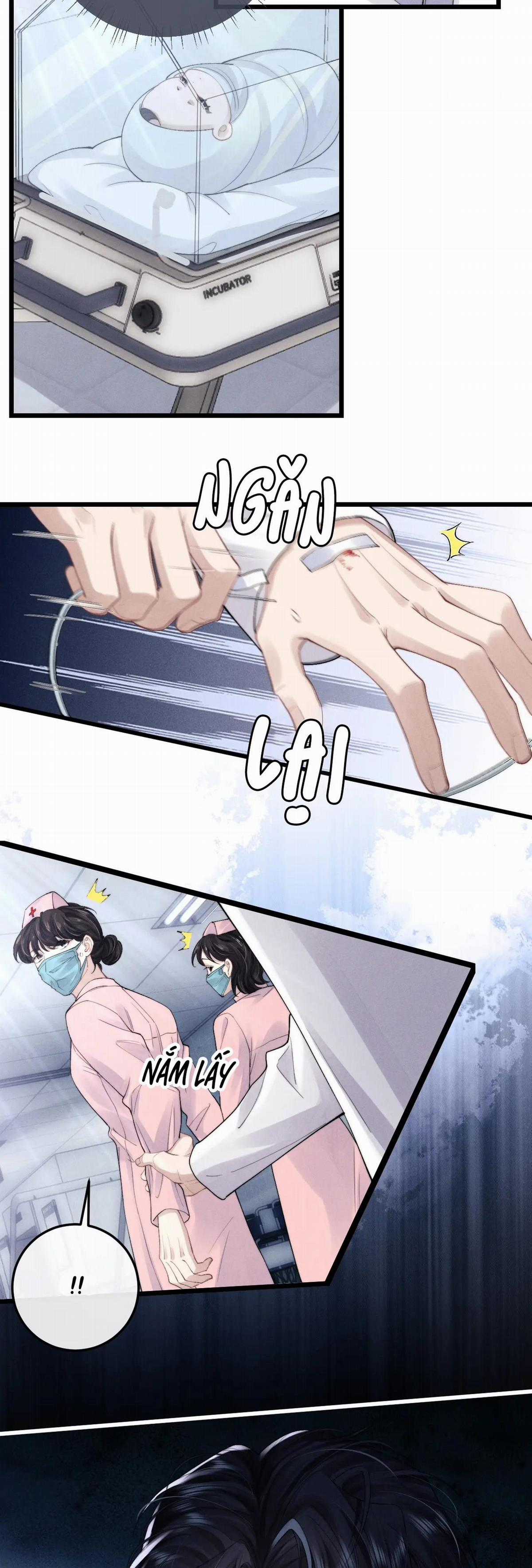 Chấp Sự Thỏ Tai Cụp - Chapter 34 - Trang 24