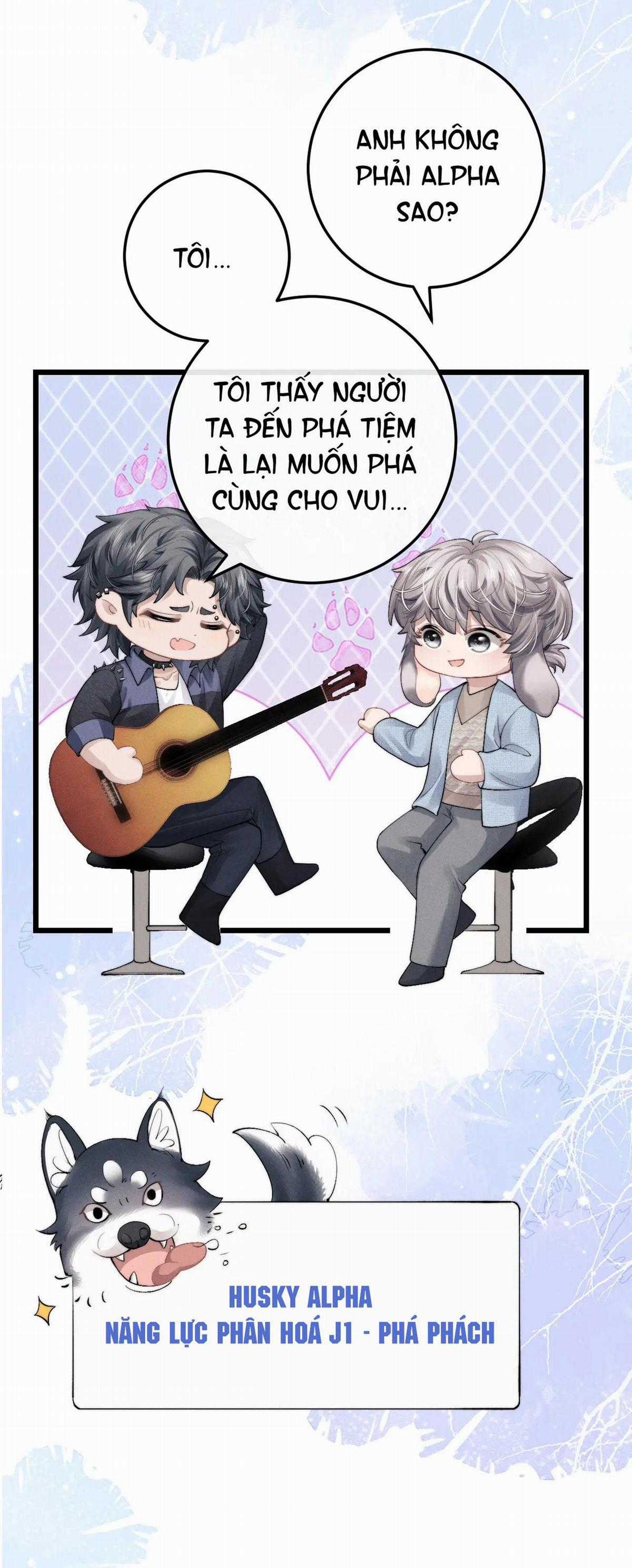 Chấp Sự Thỏ Tai Cụp - Chapter 35 - Trang 12