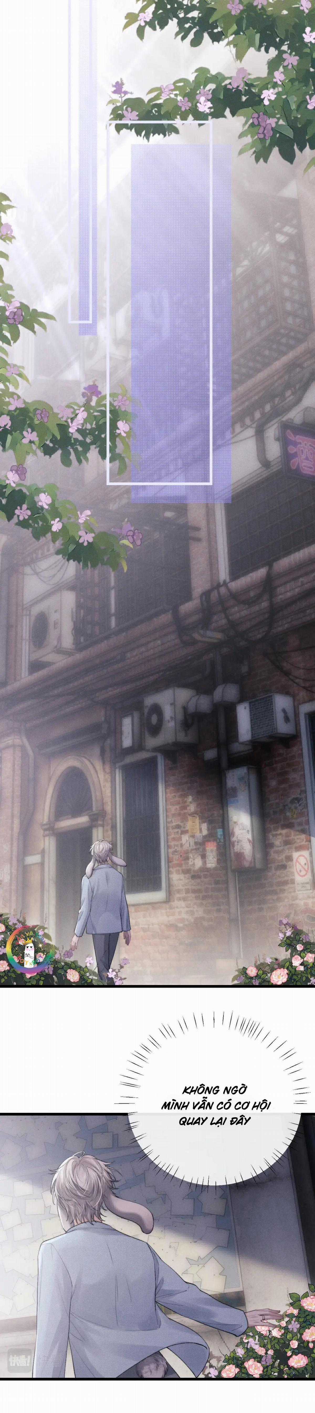 Chấp Sự Thỏ Tai Cụp - Chapter 35 - Trang 7