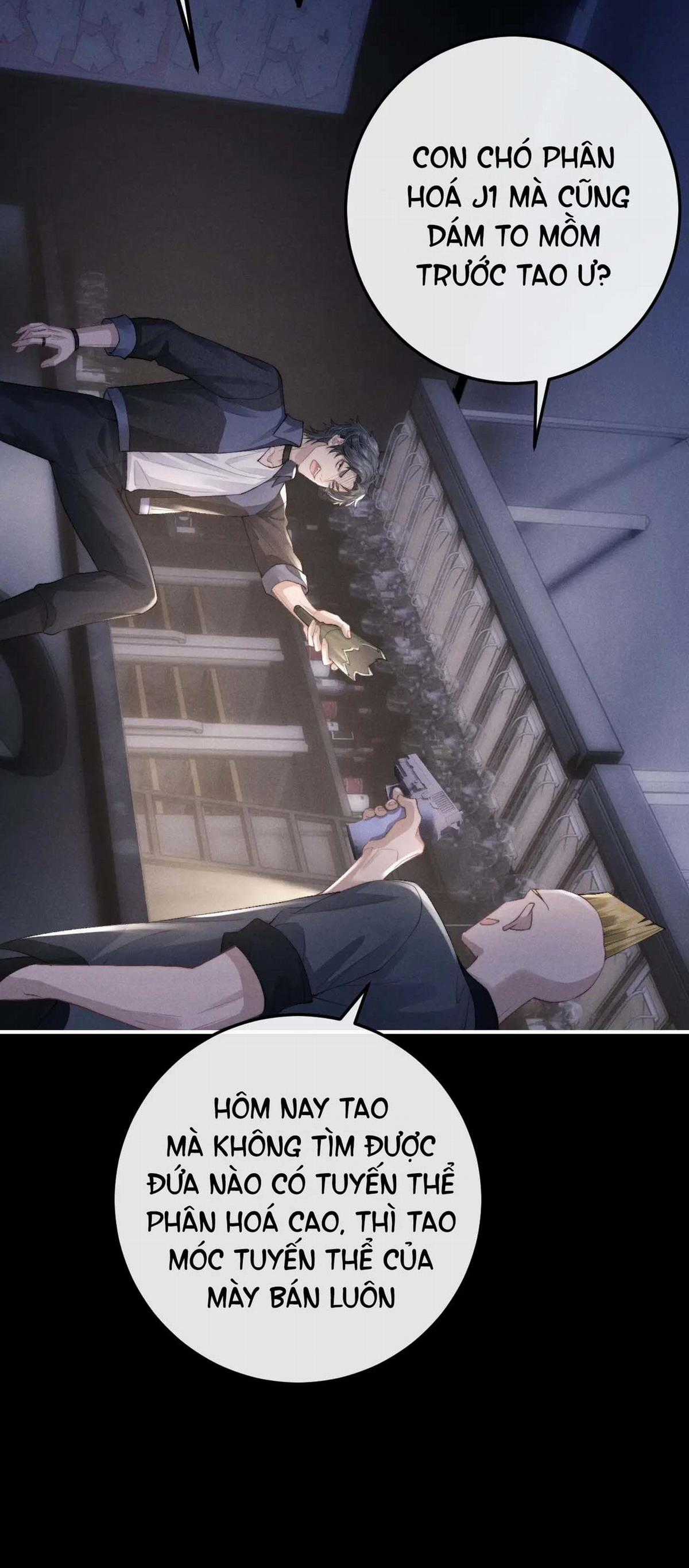 Chấp Sự Thỏ Tai Cụp - Chapter 37 - Trang 12