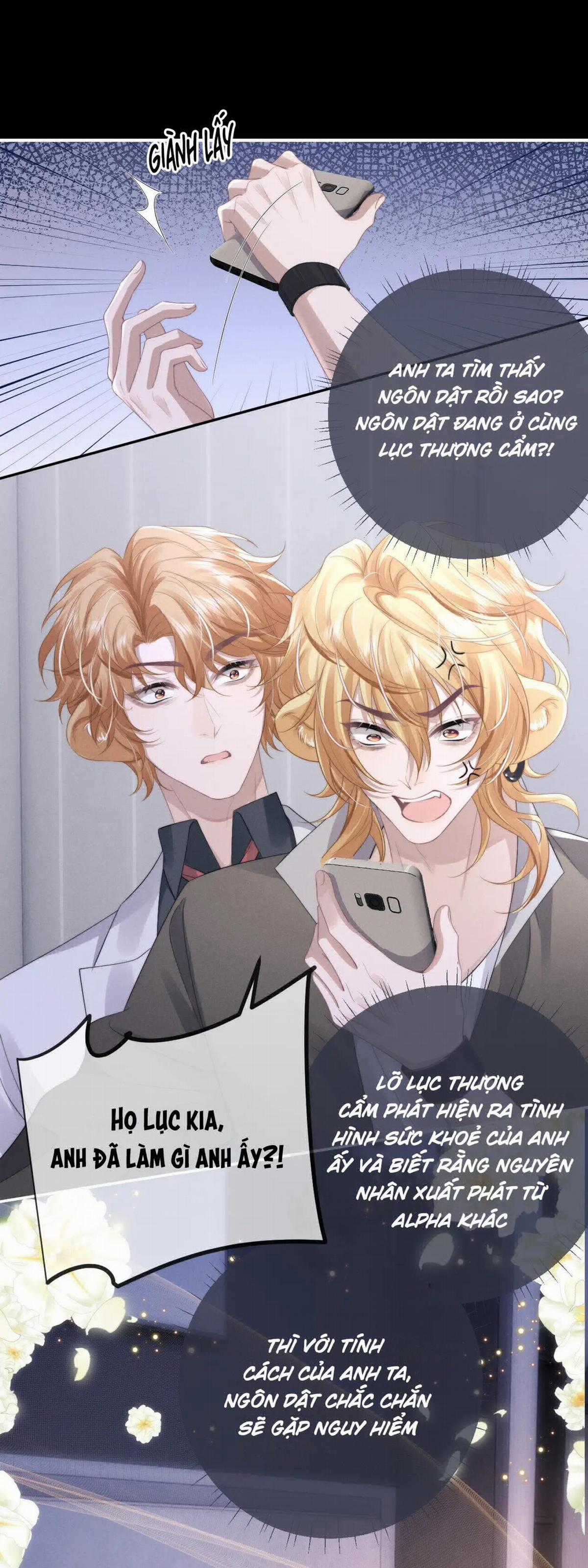 Chấp Sự Thỏ Tai Cụp - Chapter 38 - Trang 17