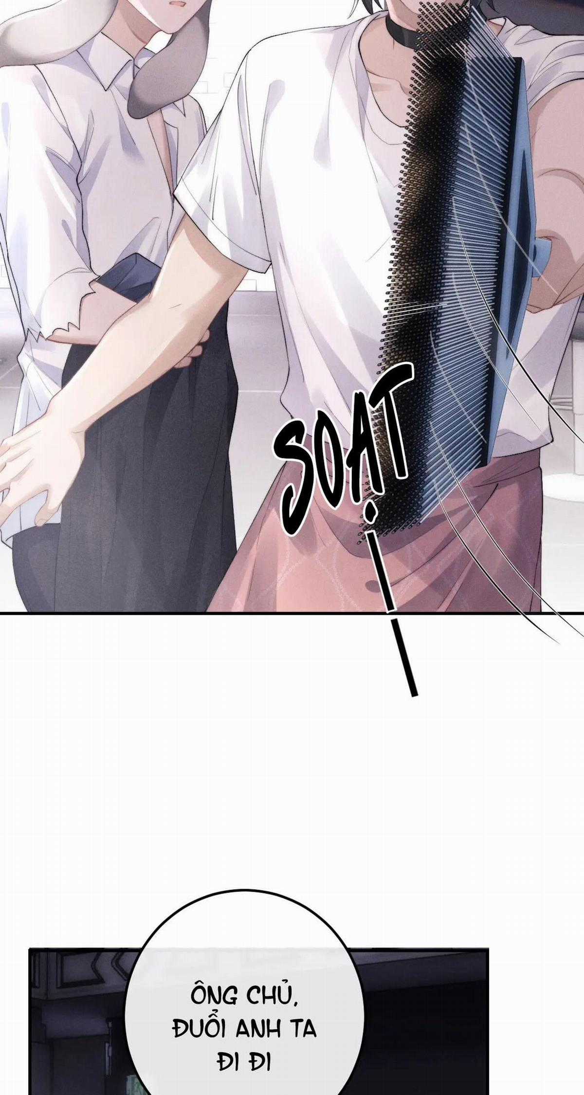 Chấp Sự Thỏ Tai Cụp - Chapter 40 - Trang 15