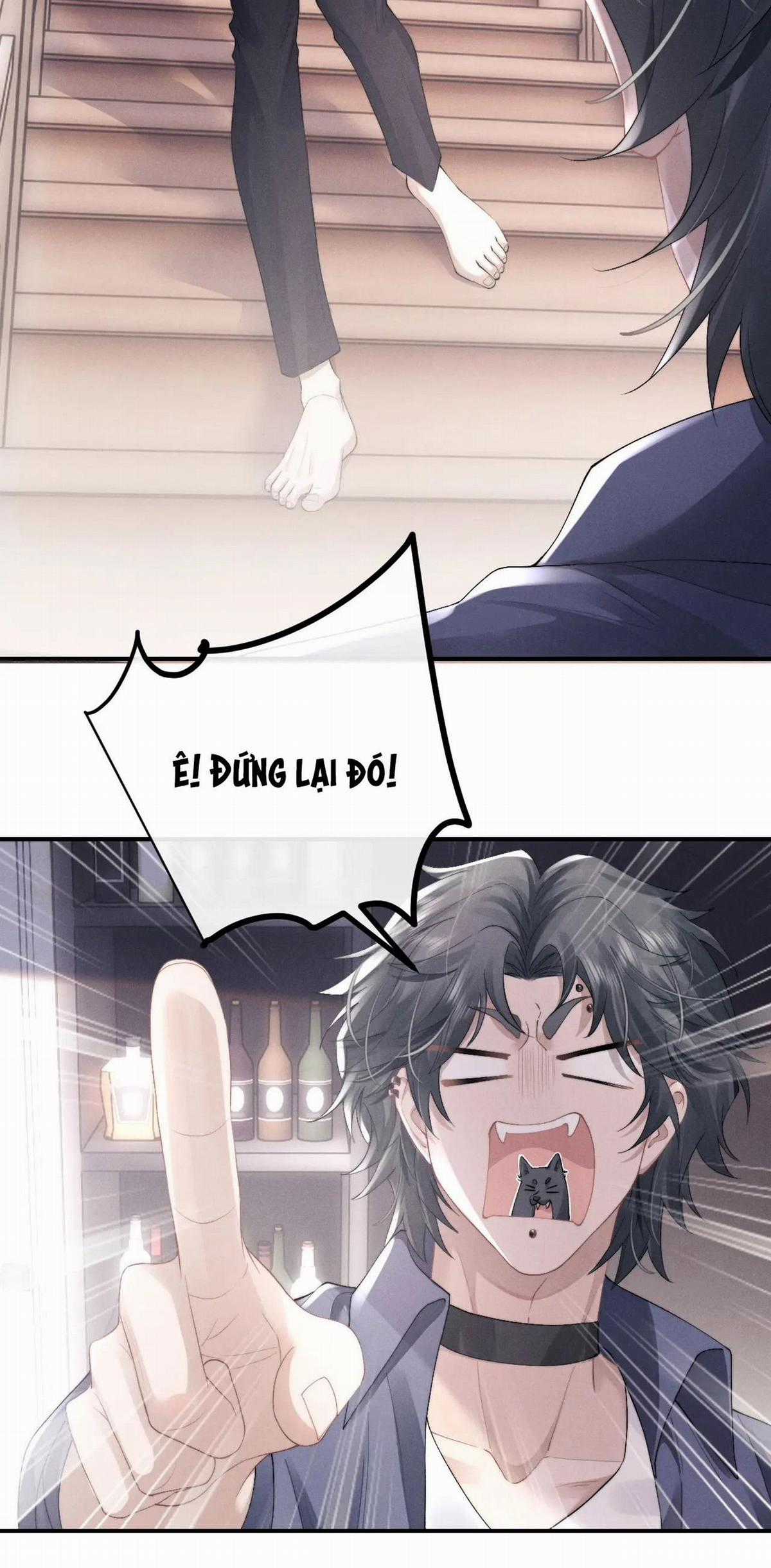 Chấp Sự Thỏ Tai Cụp - Chapter 40 - Trang 10