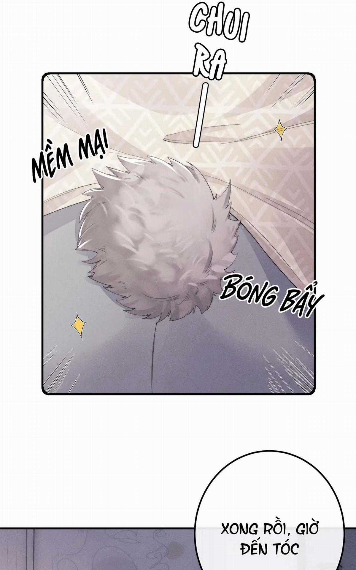 Chấp Sự Thỏ Tai Cụp - Chapter 41 - Trang 27