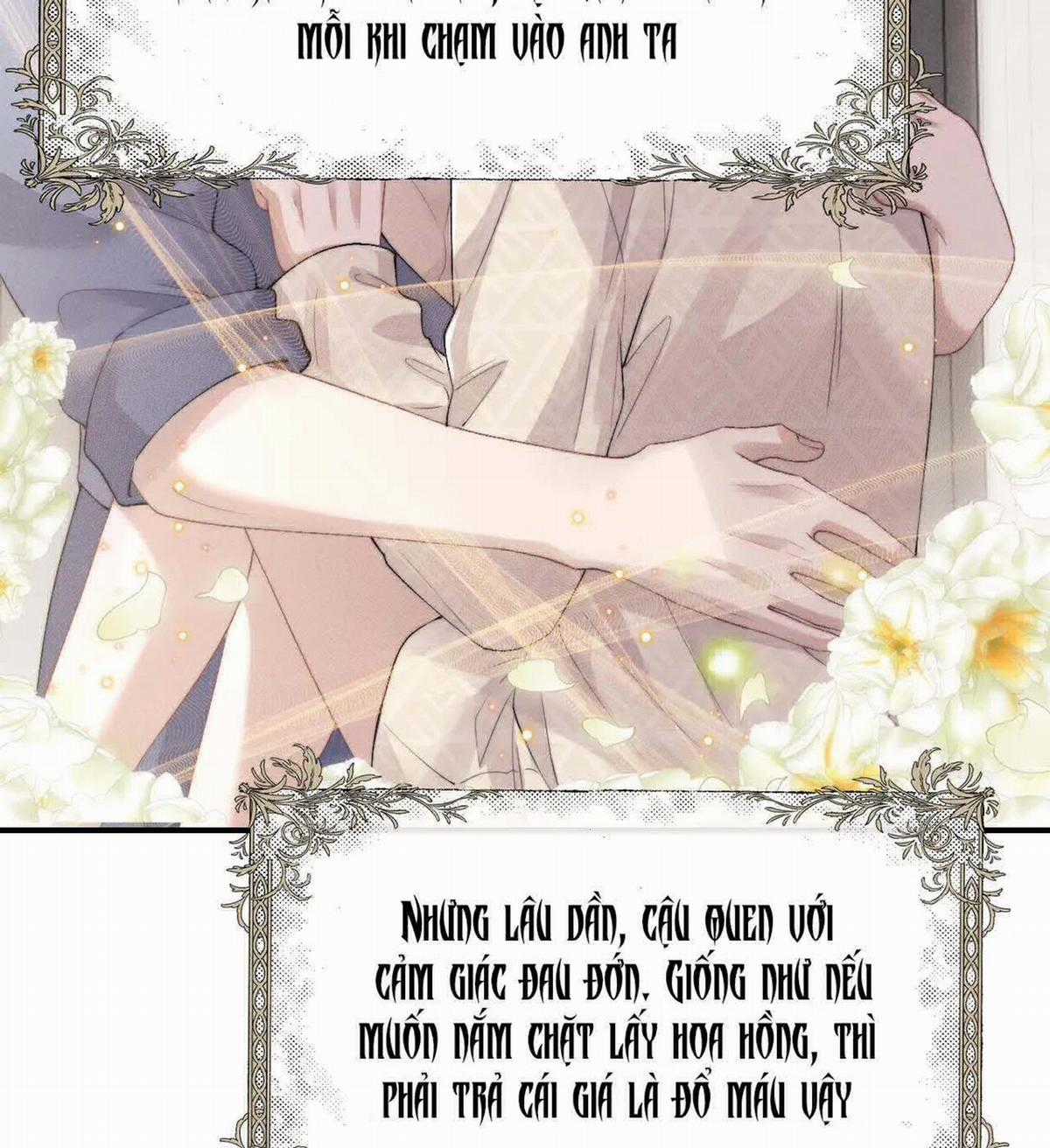 Chấp Sự Thỏ Tai Cụp - Chapter 41 - Trang 43