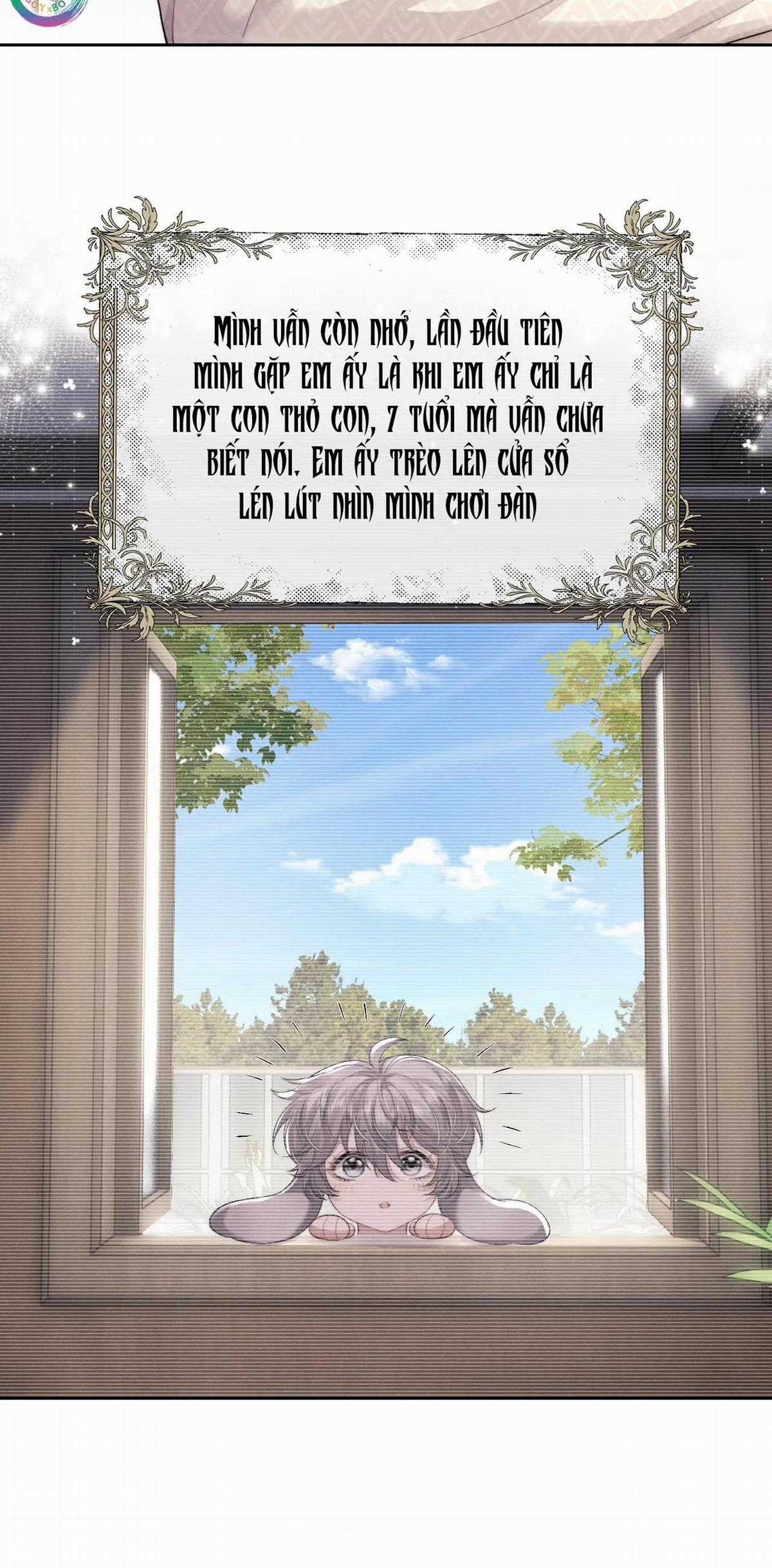 Chấp Sự Thỏ Tai Cụp - Chapter 43 - Trang 6