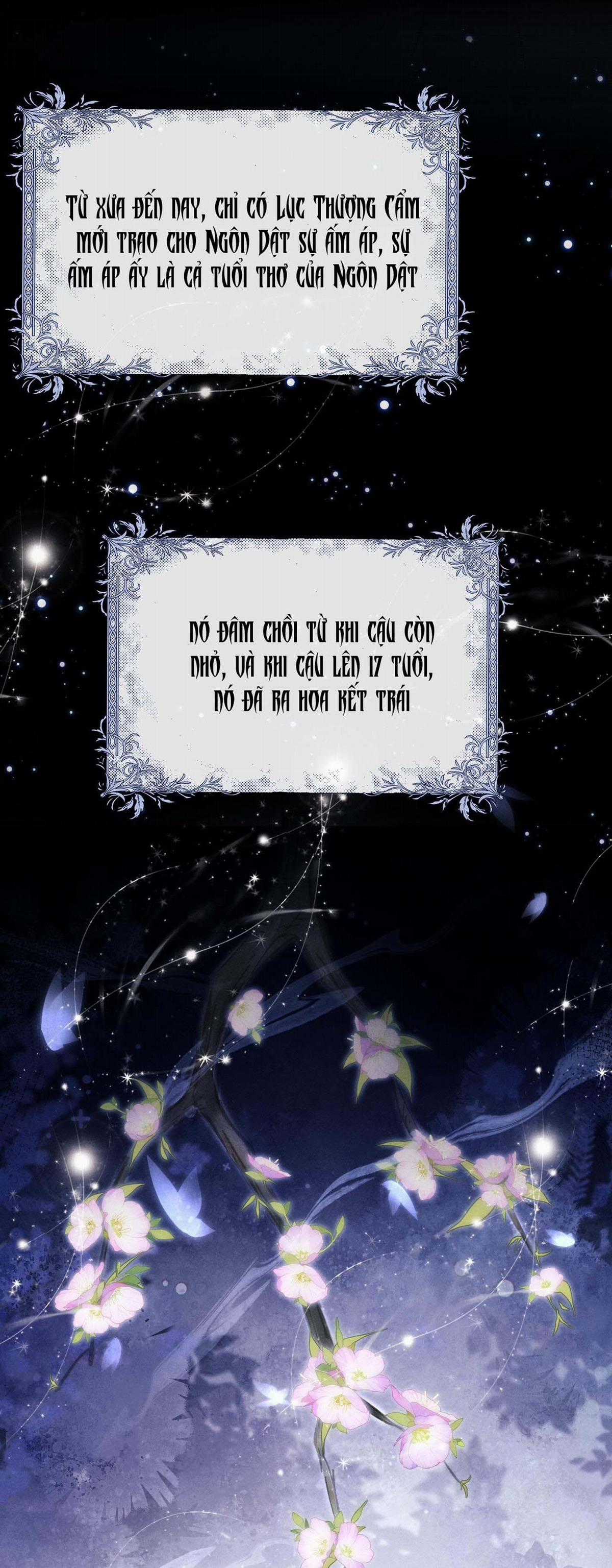 Chấp Sự Thỏ Tai Cụp - Chapter 47 - Trang 10