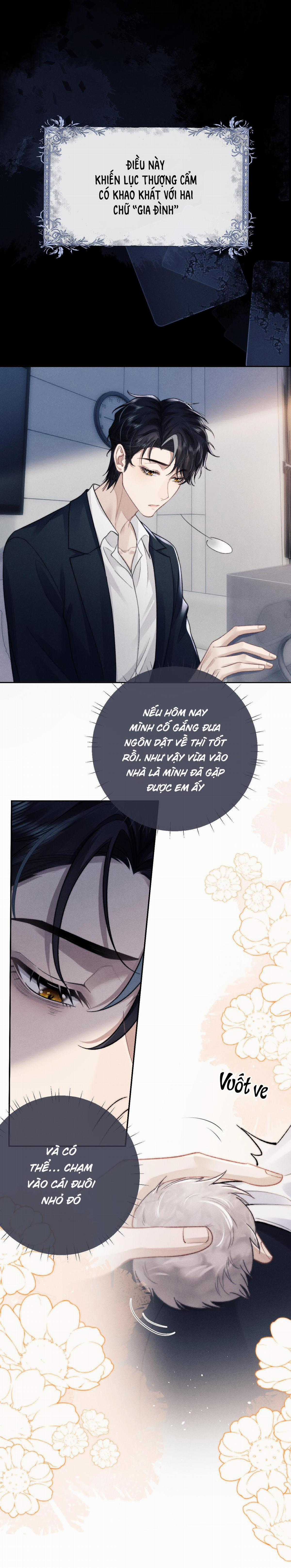 Chấp Sự Thỏ Tai Cụp - Chapter 49 - Trang 7