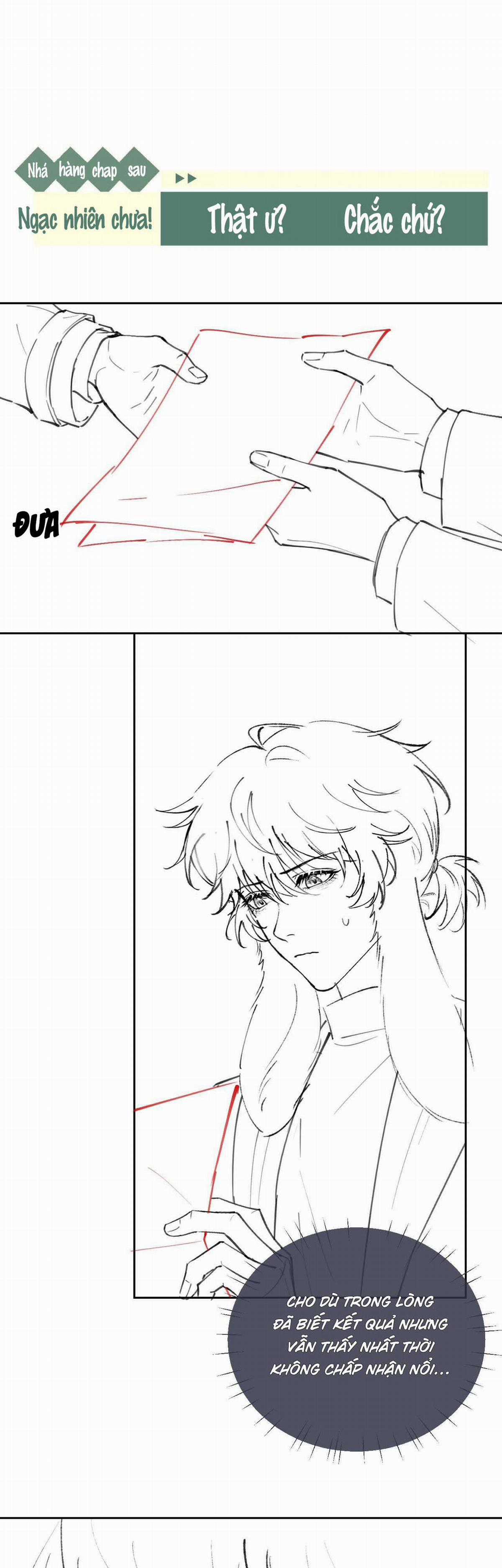 Chấp Sự Thỏ Tai Cụp - Chapter 55 - Trang 17