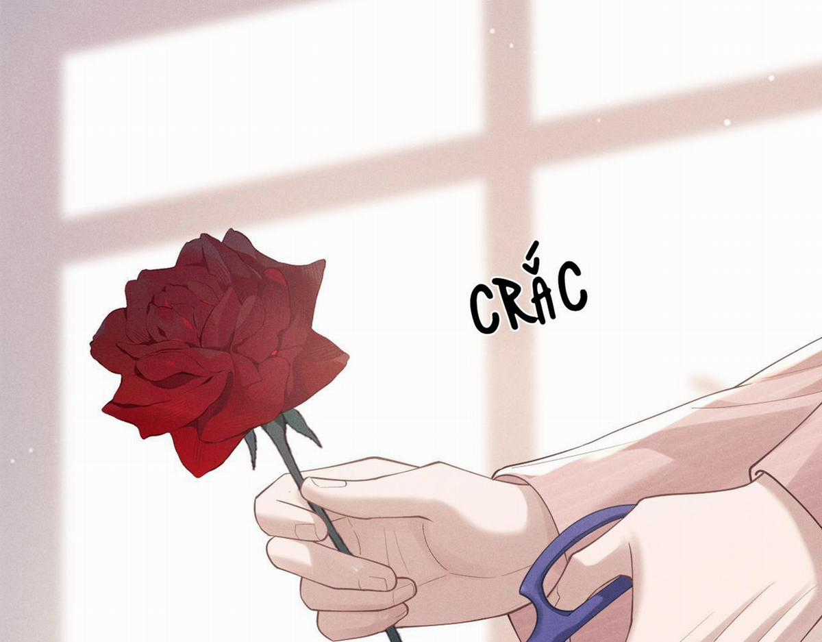 Chấp Sự Thỏ Tai Cụp - Chapter 68 - Trang 4