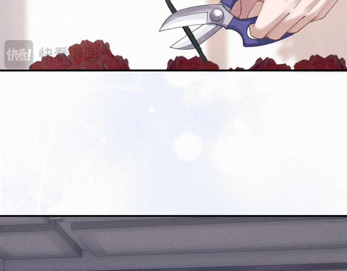 Chấp Sự Thỏ Tai Cụp - Chapter 68 - Trang 5