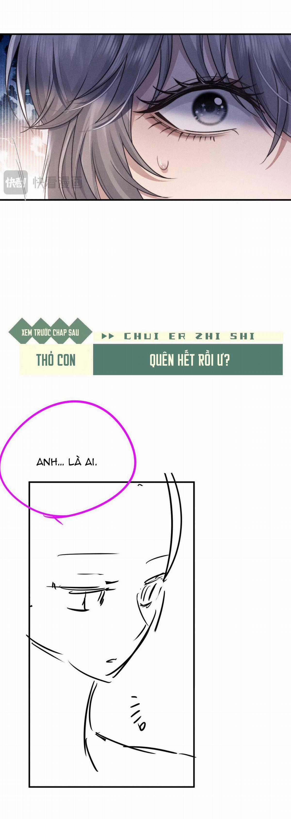 Chấp Sự Thỏ Tai Cụp - Chapter 77 - Trang 19