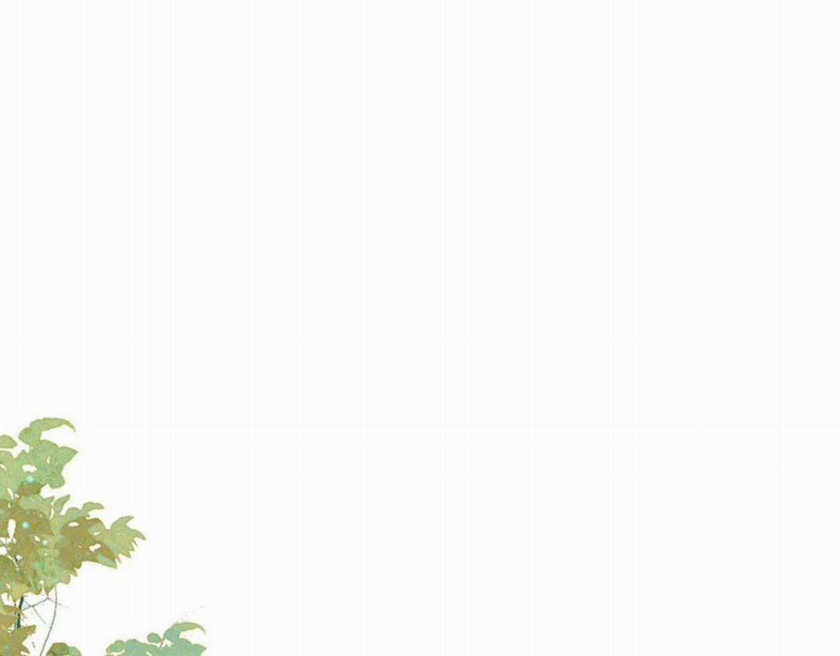 Chấp Sự Thỏ Tai Cụp - Chapter 83 - Trang 3