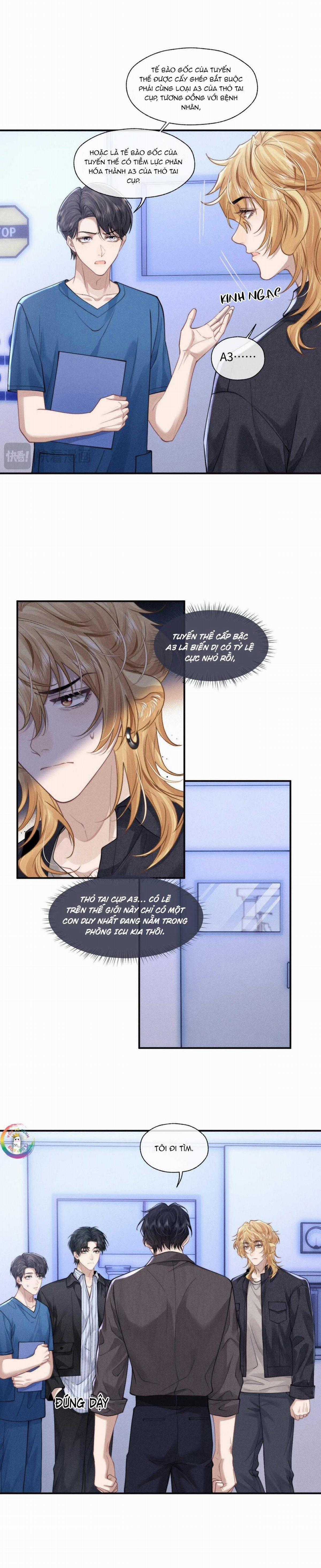 Chấp Sự Thỏ Tai Cụp - Chapter 97 - Trang 7