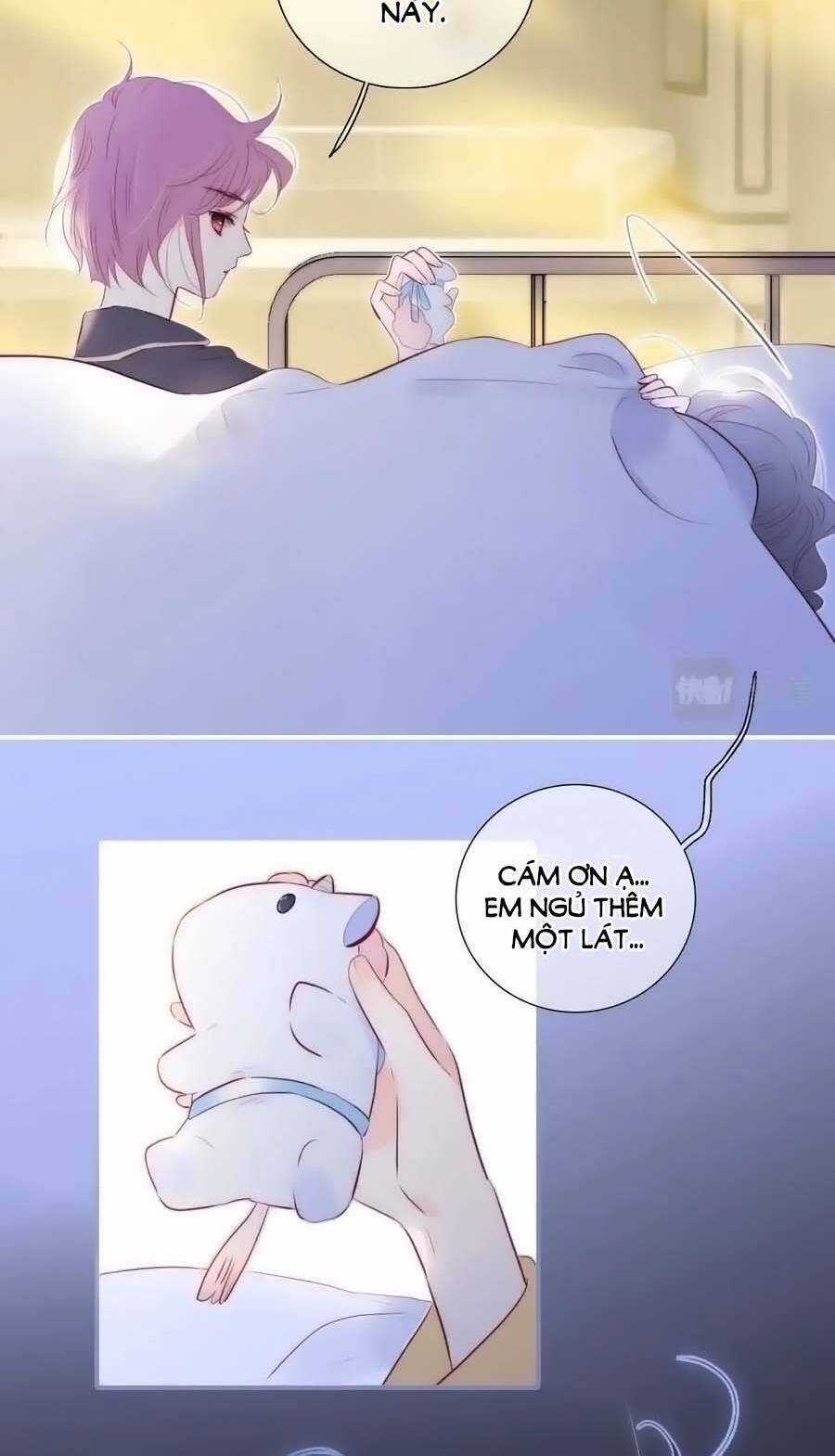 Chạy Trốn Cùng Con Nhím - Chapter 100 - Trang 13