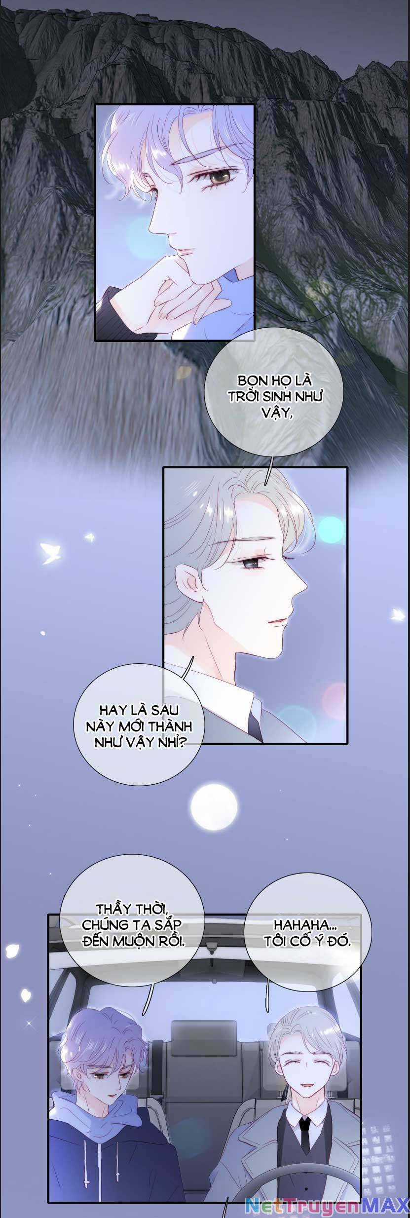 Chạy Trốn Cùng Con Nhím - Chapter 102 - Trang 2