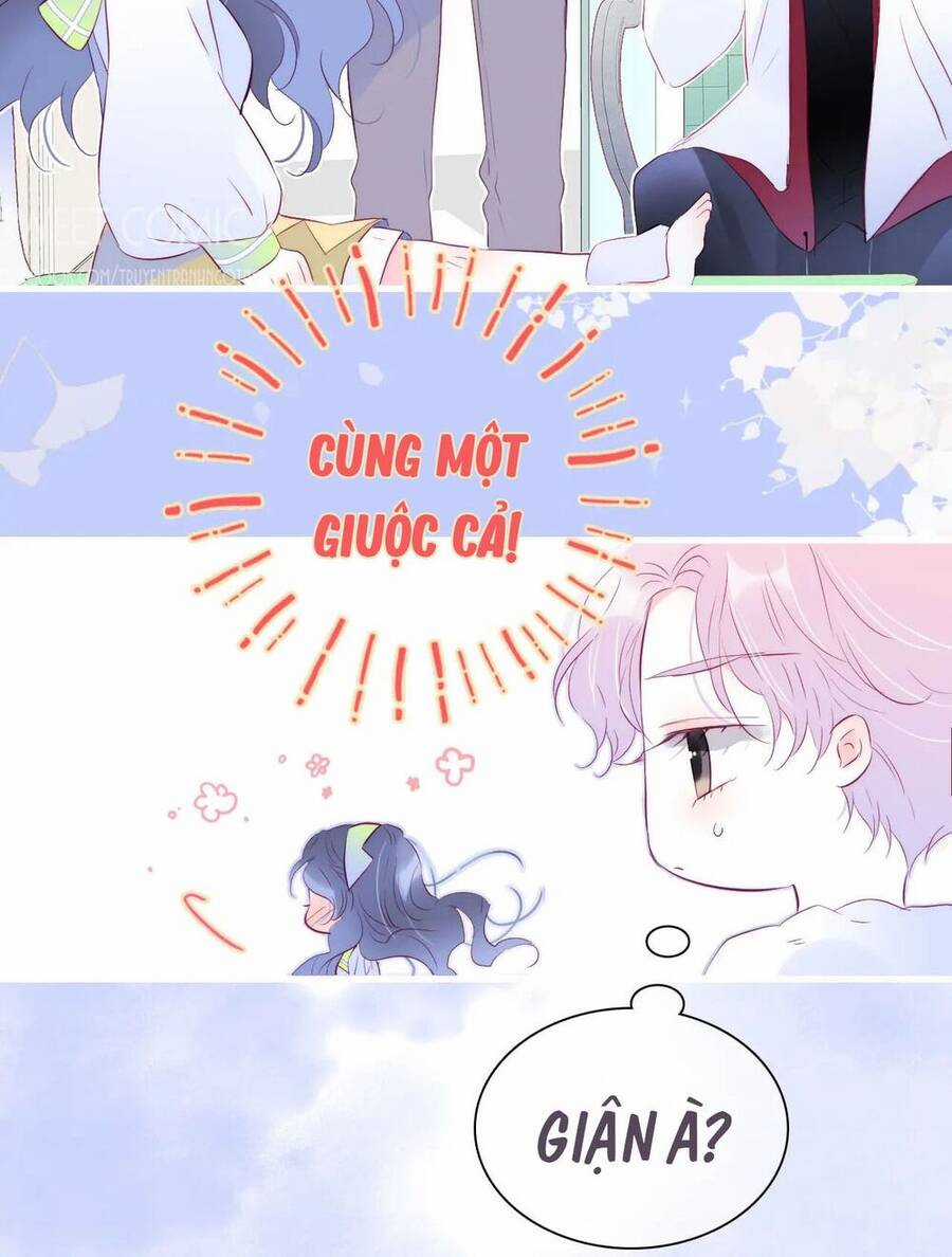 Chạy Trốn Cùng Con Nhím - Chapter 27 - Trang 17