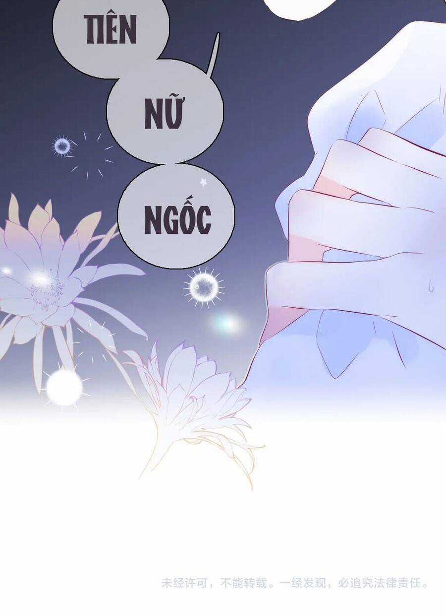 Chạy Trốn Cùng Con Nhím - Chapter 27 - Trang 47