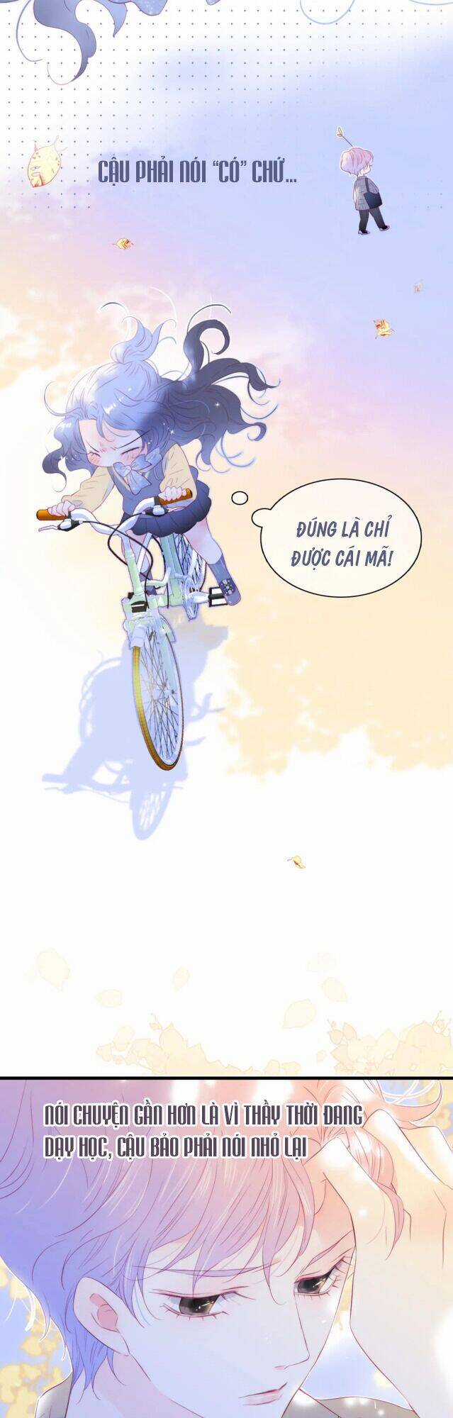 Chạy Trốn Cùng Con Nhím - Chapter 31 - Trang 18