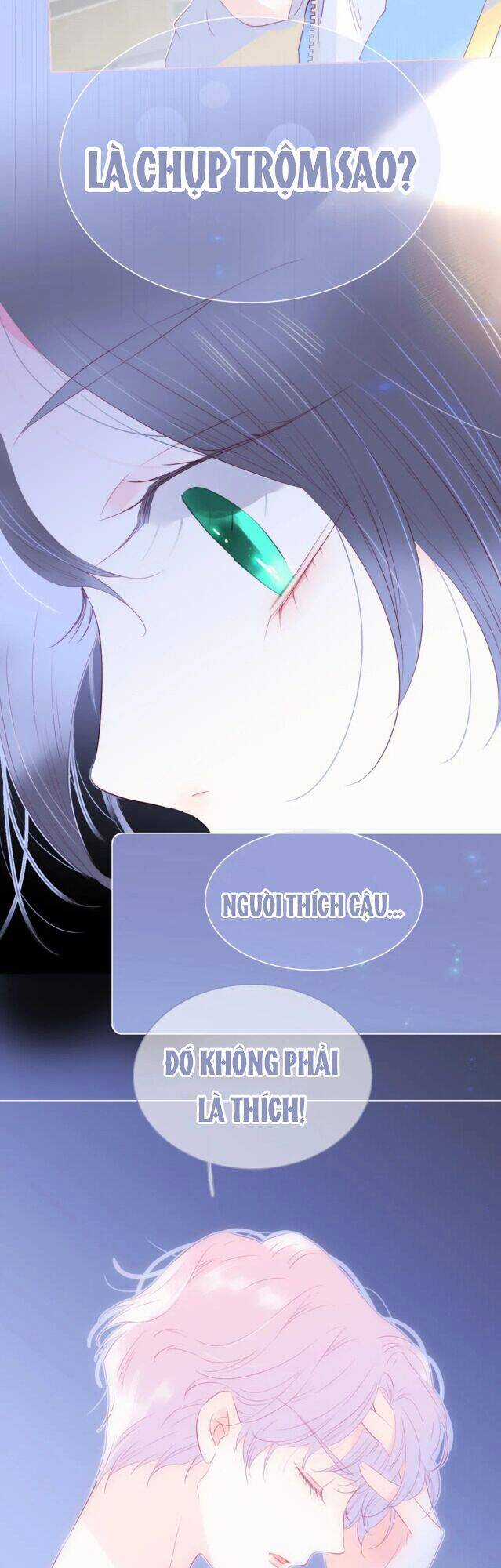 Chạy Trốn Cùng Con Nhím - Chapter 31 - Trang 28