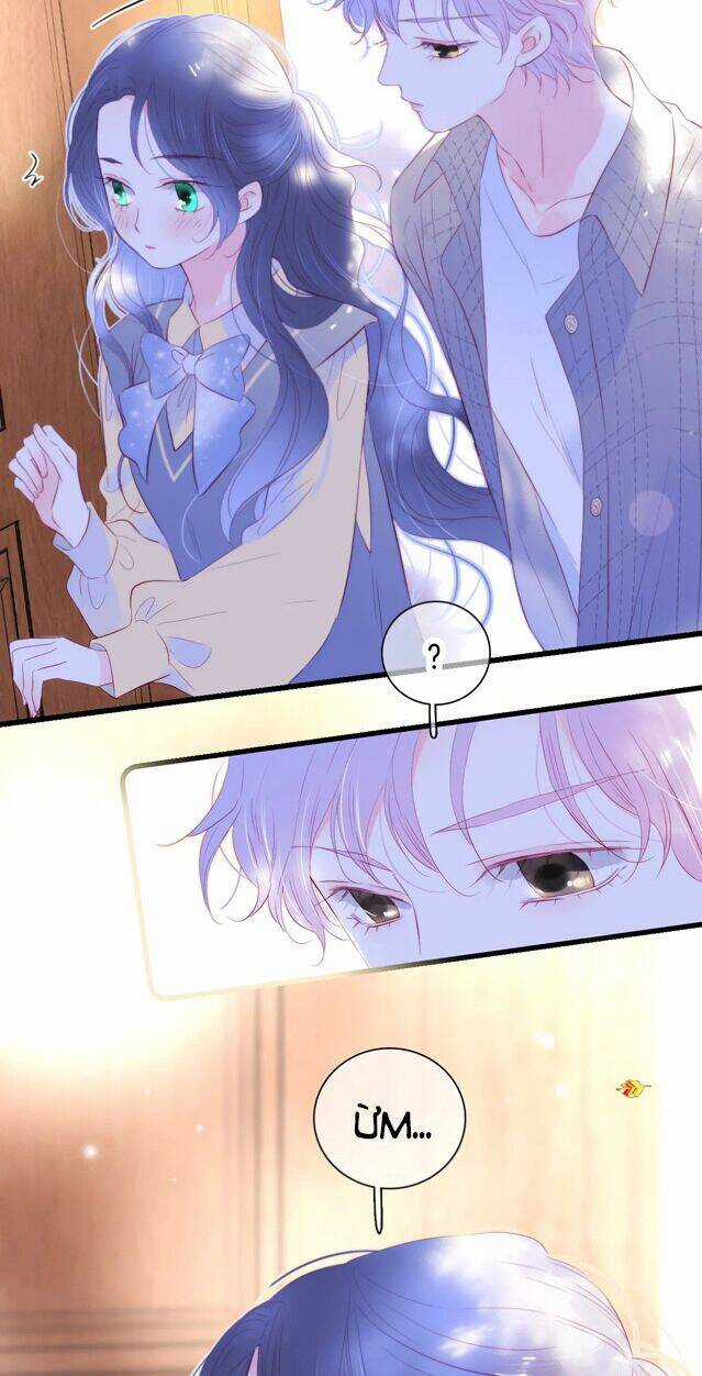 Chạy Trốn Cùng Con Nhím - Chapter 31 - Trang 5