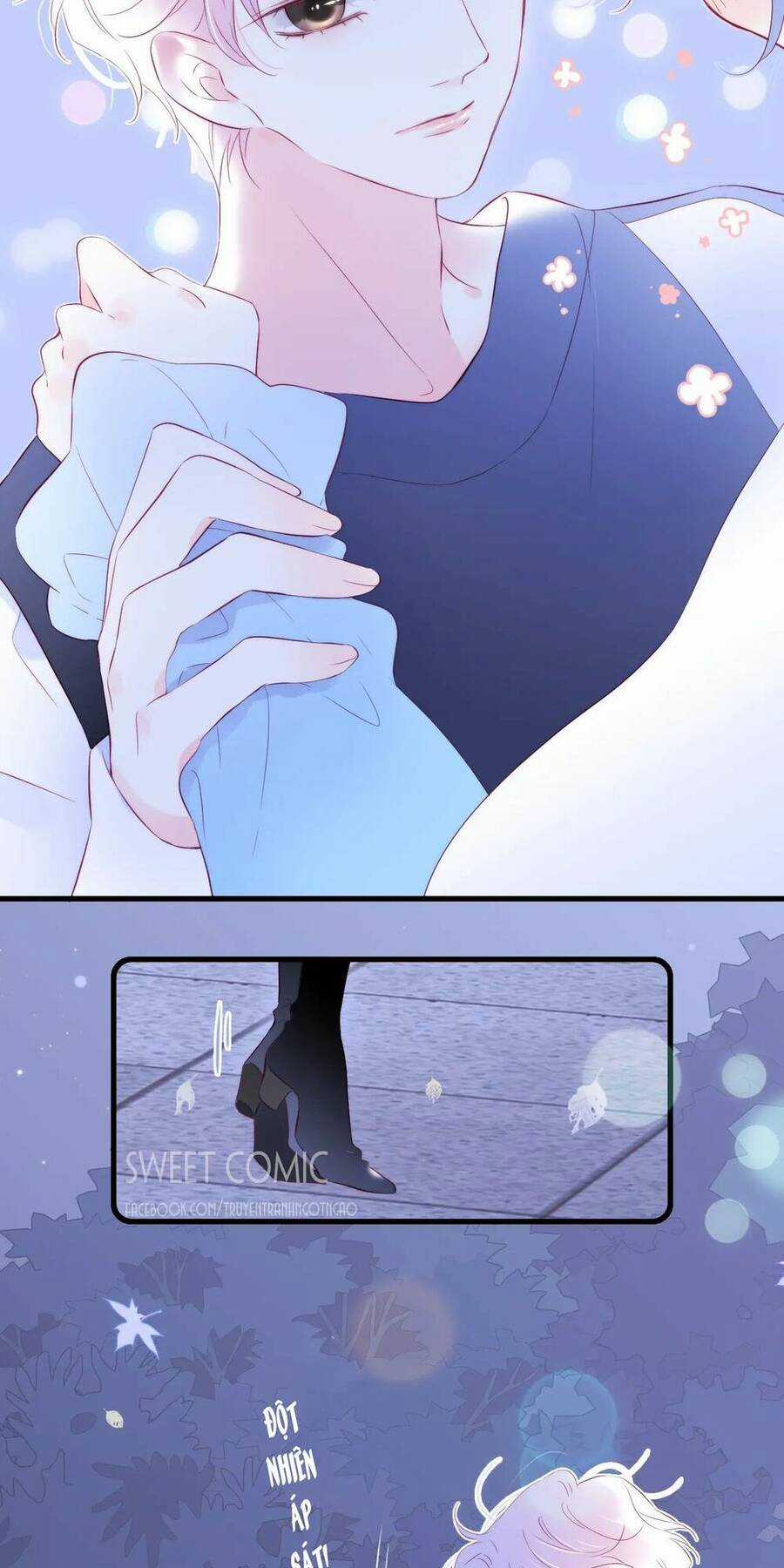 Chạy Trốn Cùng Con Nhím - Chapter 45 - Trang 6