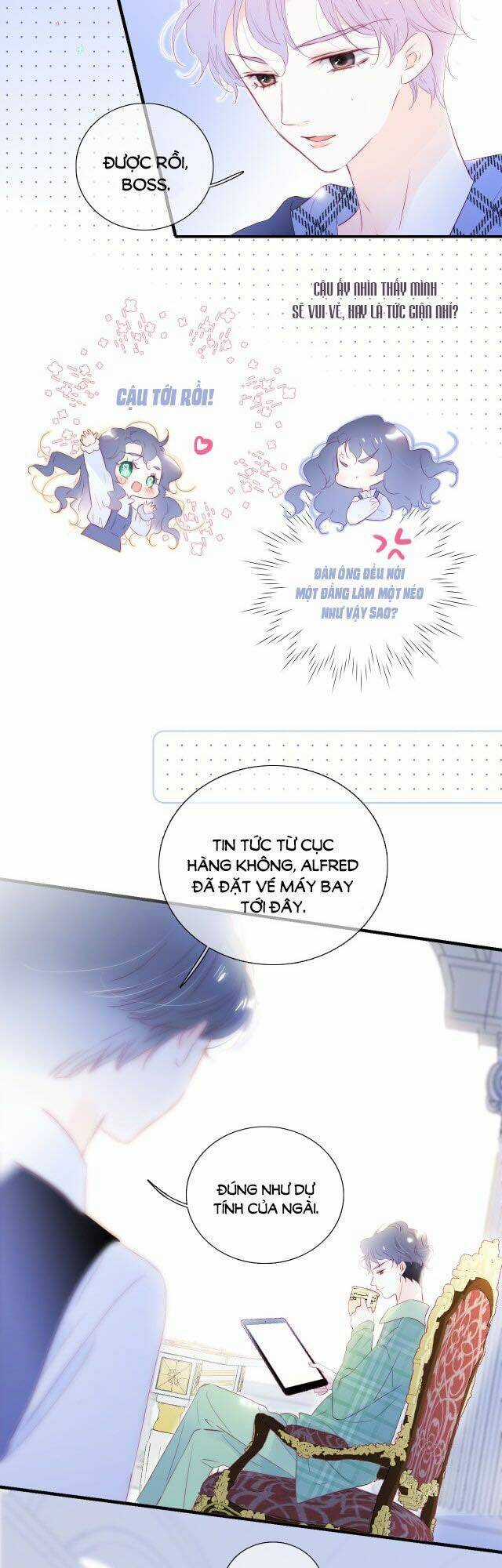 Chạy Trốn Cùng Con Nhím - Chapter 76 - Trang 24