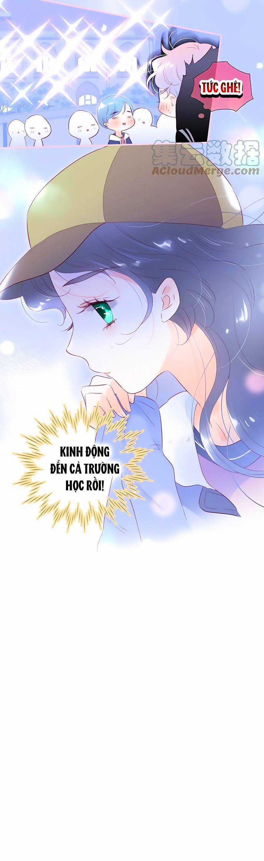 Chạy Trốn Cùng Con Nhím - Chapter 87 - Trang 5