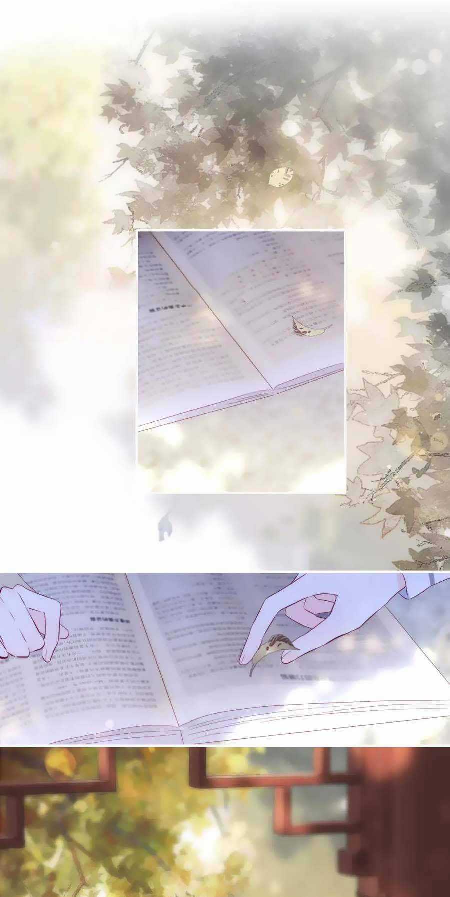 Chạy Trốn Cùng Con Nhím - Chapter 92 - Trang 3