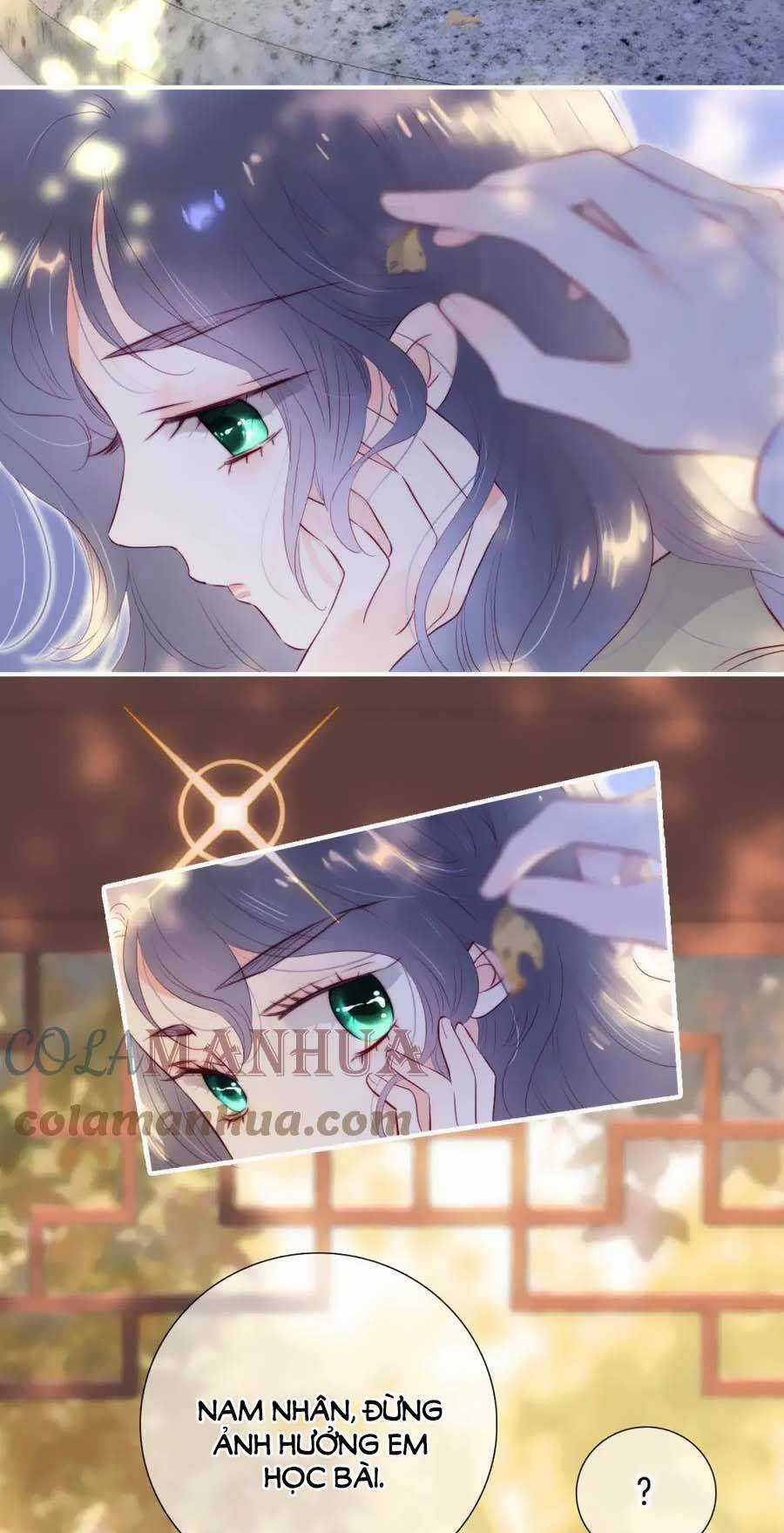 Chạy Trốn Cùng Con Nhím - Chapter 92 - Trang 5