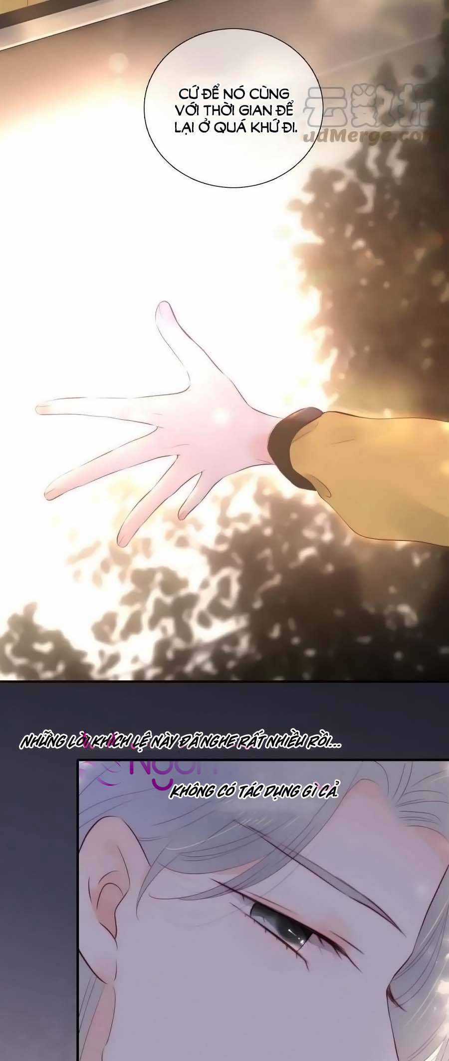 Chạy Trốn Cùng Con Nhím - Chapter 94 - Trang 23