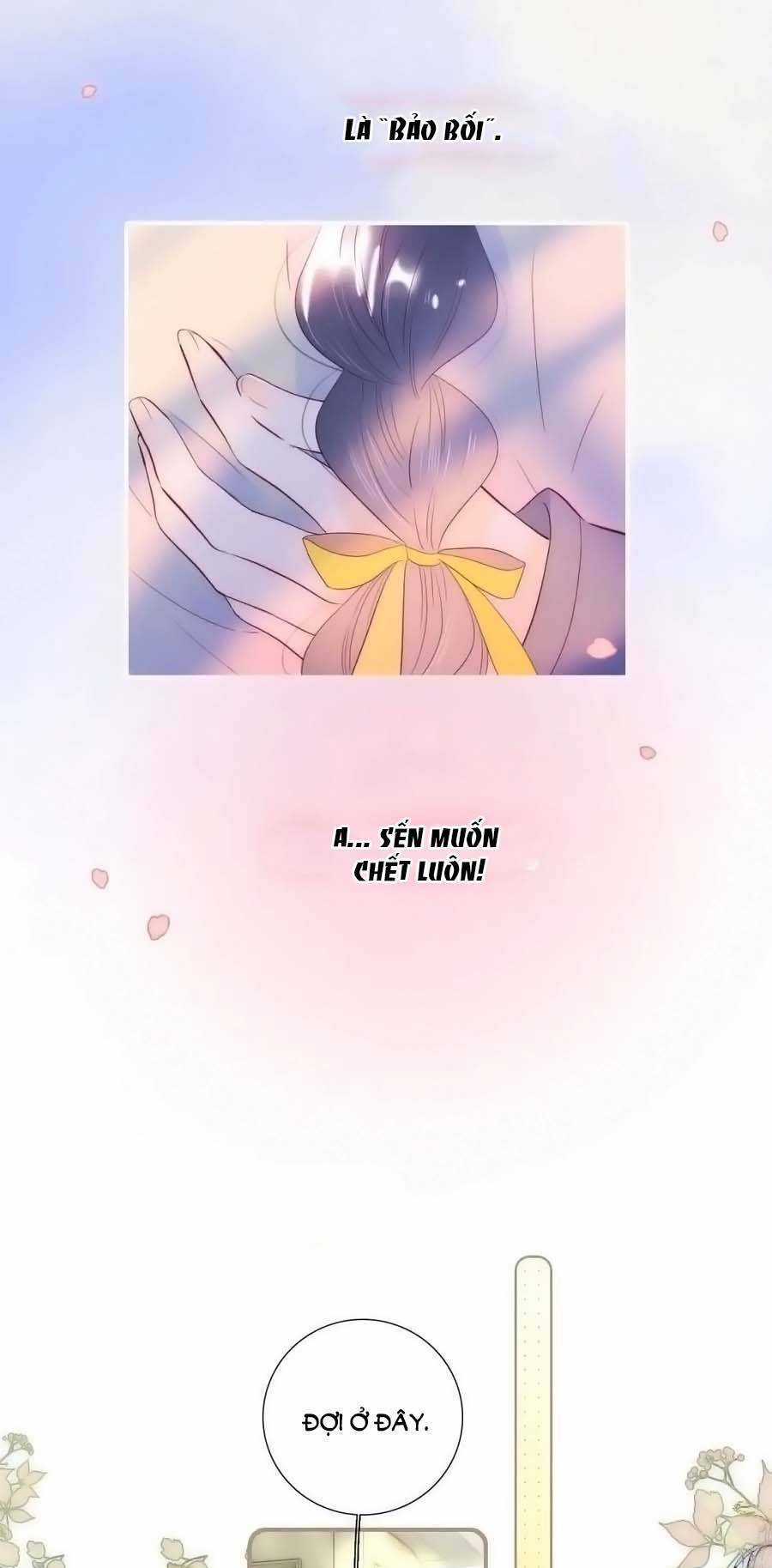 Chạy Trốn Cùng Con Nhím - Chapter 96 - Trang 20