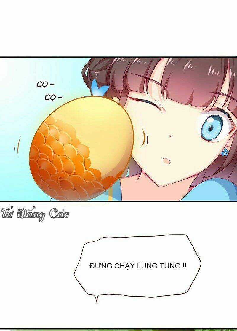 Che Bầu Trời - Chapter 1 - Trang 25