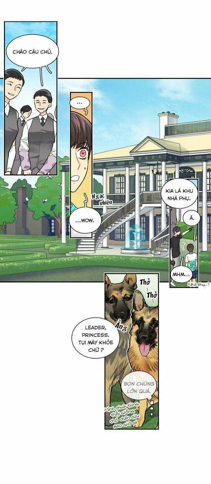 Cherry Boy, That Girl - Chapter 42 - Trang 3