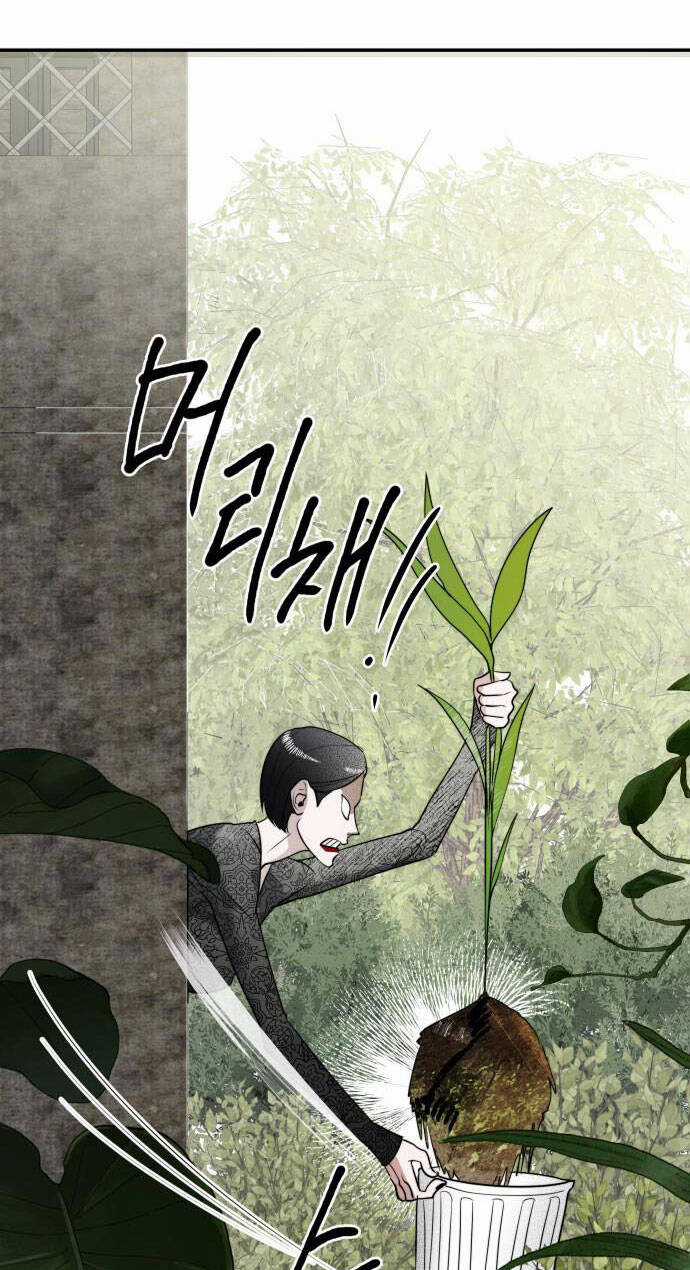 Chị Em Nhà Ki - Chapter 10 - Trang 66