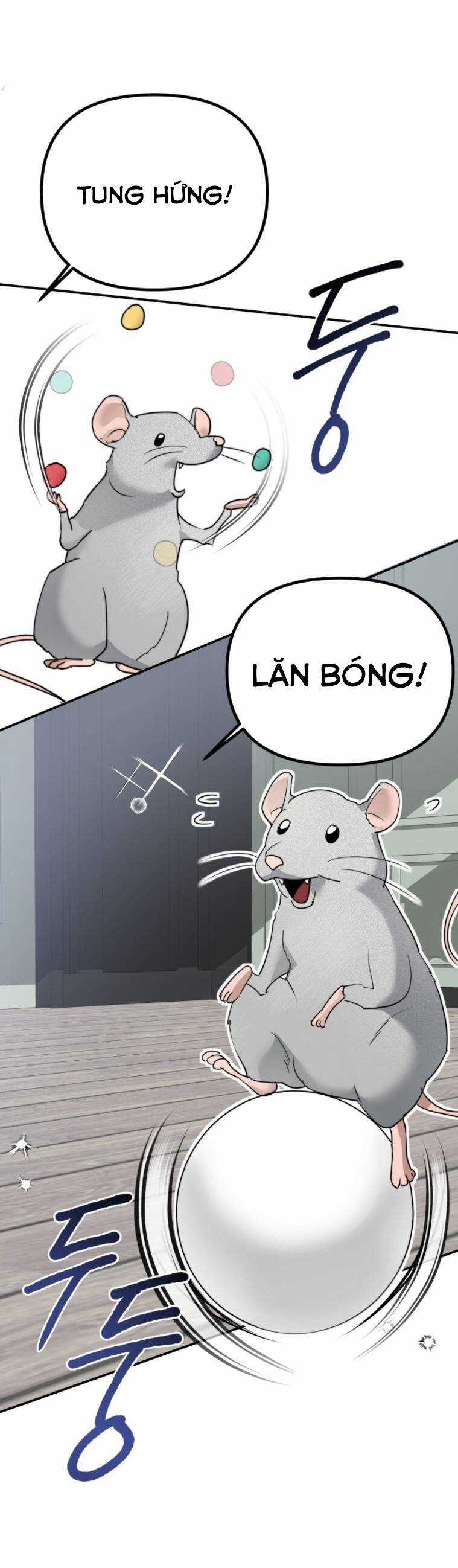 Chị Em Nhà Ki - Chapter 12 - Trang 17