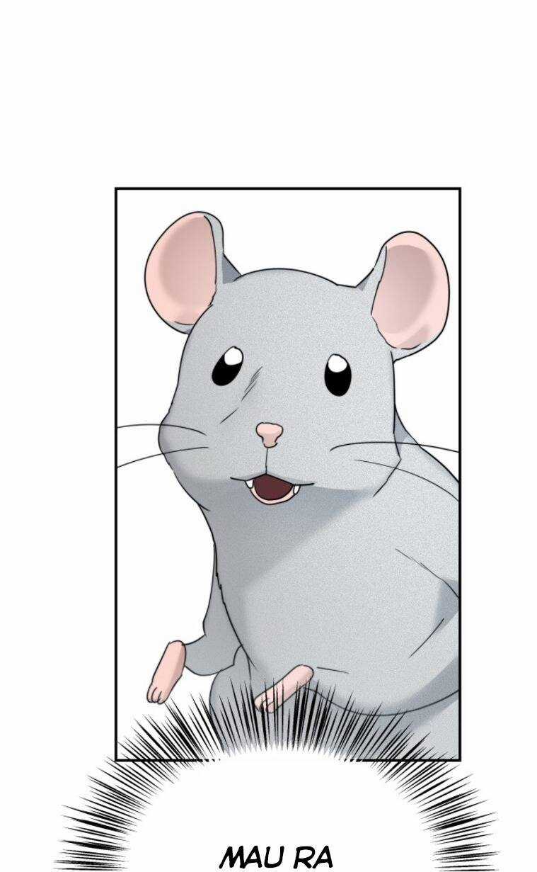 Chị Em Nhà Ki - Chapter 12 - Trang 23