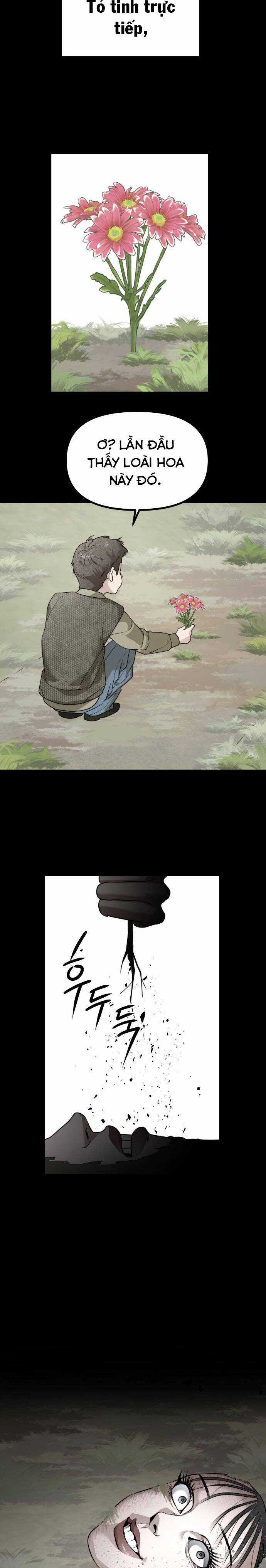 Chị Em Nhà Ki - Chapter 40 - Trang 10