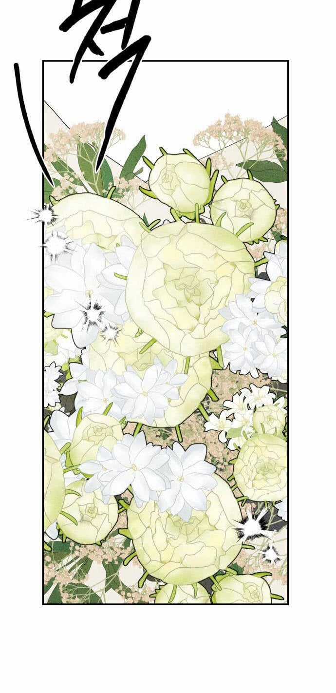 Chị Em Nhà Ki - Chapter 8 - Trang 28